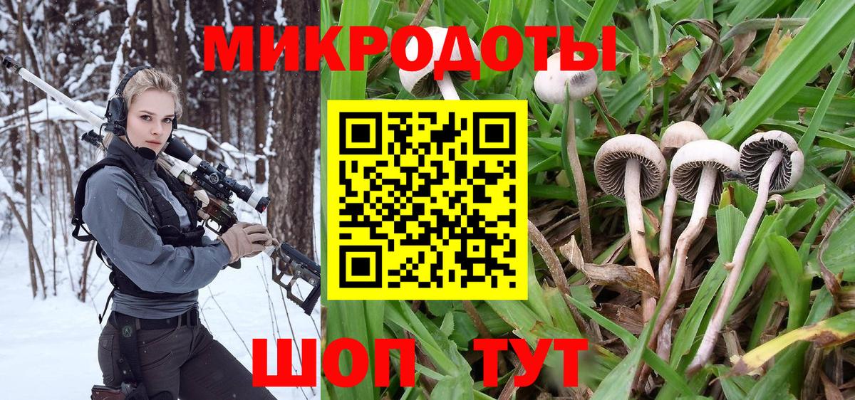 Псилоцибиновые грибы Psilocybe Электрогорск
