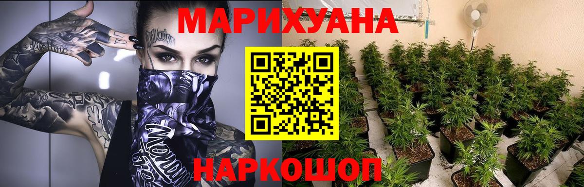 Бошки Шишки сатива Электрогорск